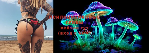 трава Новокубанск