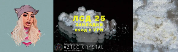 трава Новокубанск
