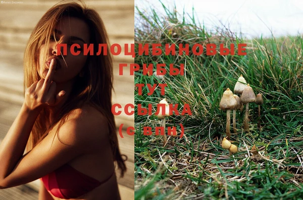 альфа пвп Коряжма