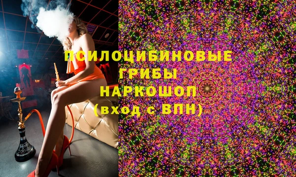 трава Новокубанск