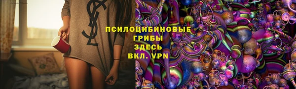 эйфоретик Новозыбков