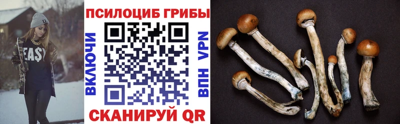 купить закладку  Крым  Псилоцибиновые грибы ЛСД 